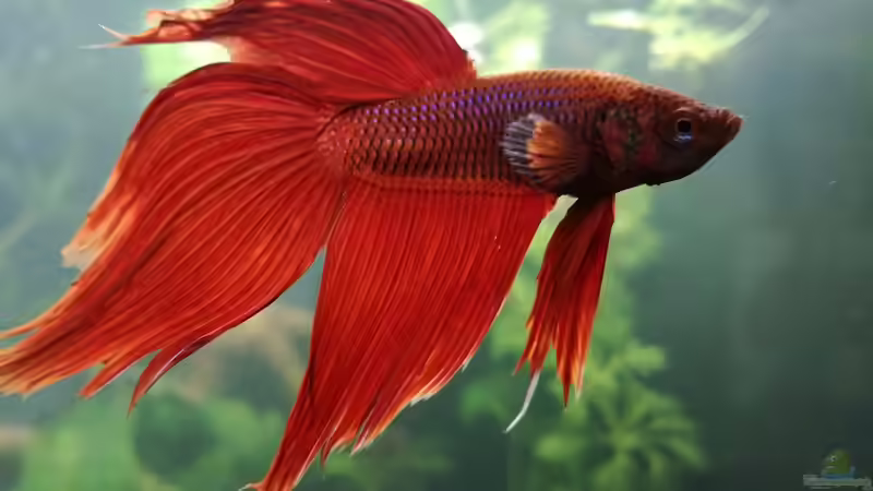 Nicht mehr aktuell  von Heike Fuchs (9)