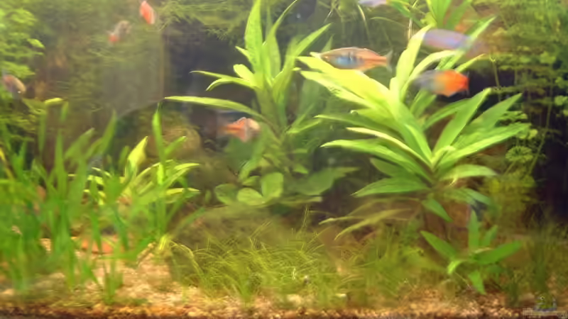 nicht mehr aktuell von Sebastian.. (10)