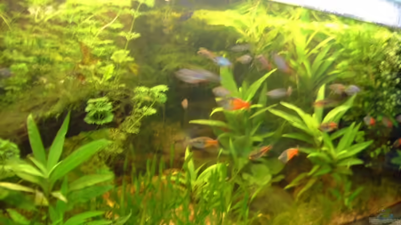 nicht mehr aktuell von Sebastian.. (11)