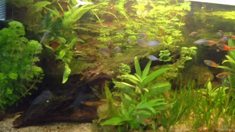 nicht mehr aktuell von Sebastian.. (12)