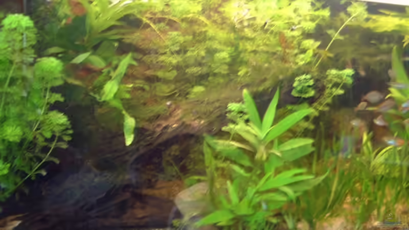 nicht mehr aktuell von Sebastian.. (13)