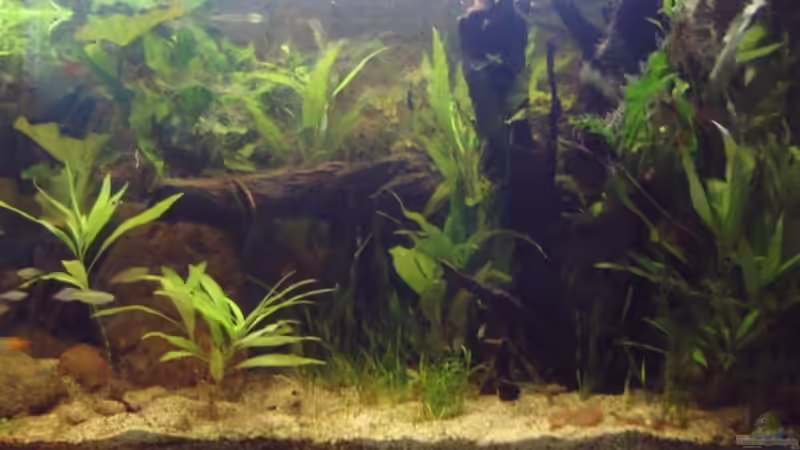 nicht mehr aktuell von Sebastian.. (4)