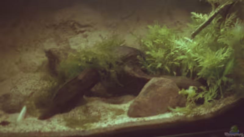 nicht mehr aktuell von Sebastian H.2 (4)