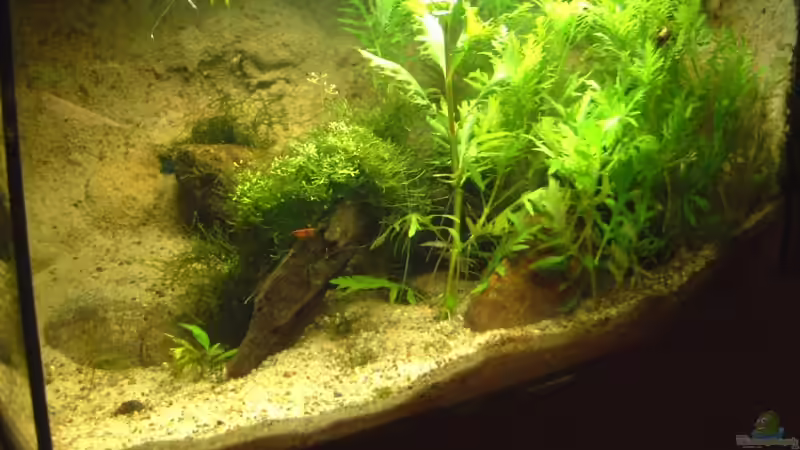 nicht mehr aktuell von Sebastian H.2 (6)