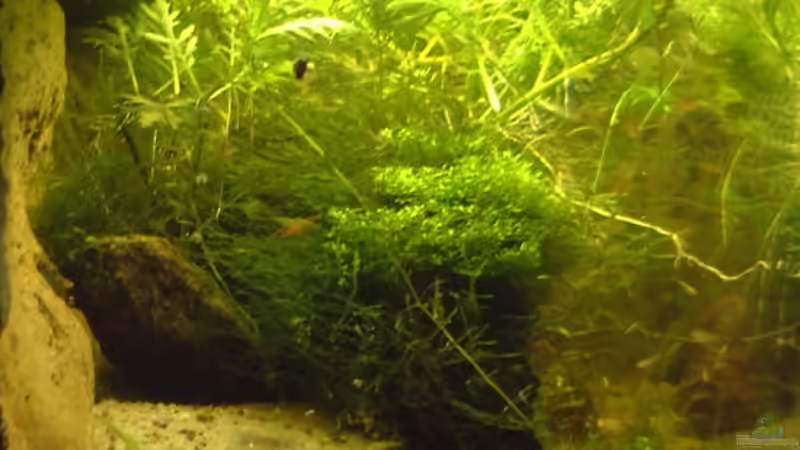 nicht mehr aktuell von Sebastian H.2 (7)