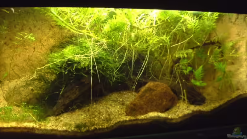 nicht mehr aktuell von Sebastian H.2 (8)