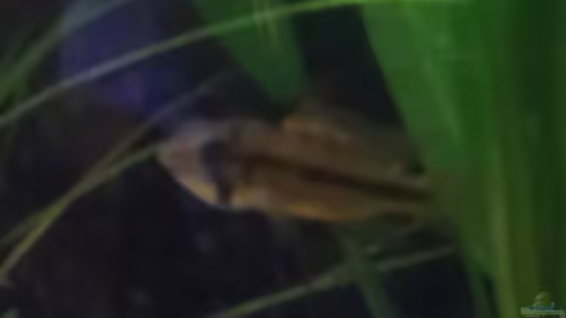 Nicht mehr alleine, endlich von Tobi L. (38)