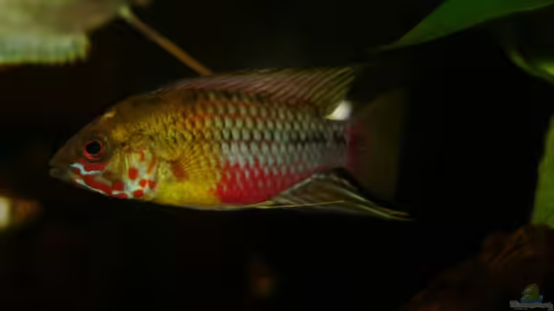 Nicht mehr da! von Zwanni (32)