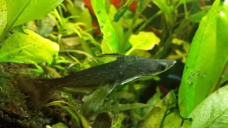 nicht schön, aber selten ;) von NRW (31)