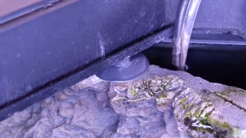 Niederhalter Rückwand vorne links von Harald Götz (35)