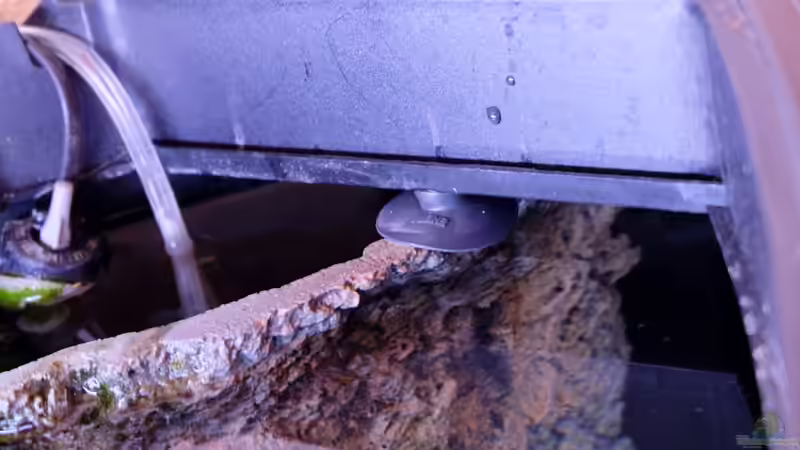 Niederhalter Rückwand vorne rechts von Harald Götz (36)