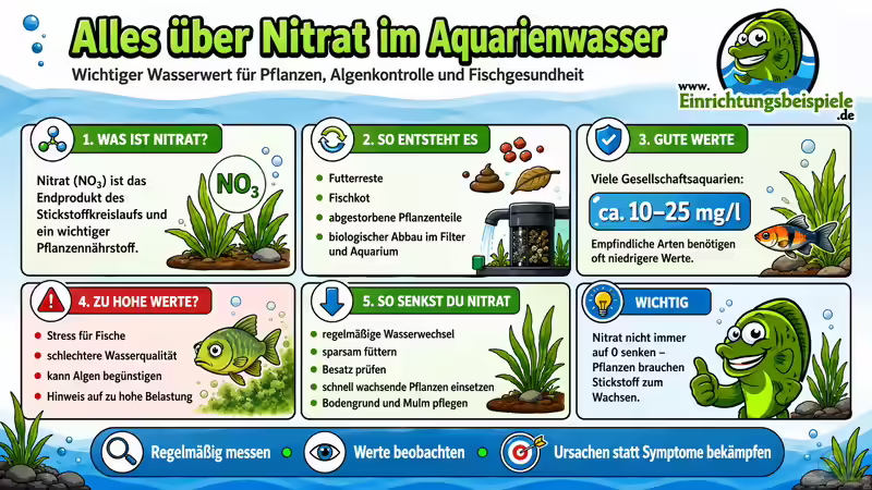Nitrat im Aquarienwasser - Alles, was du wissen musst