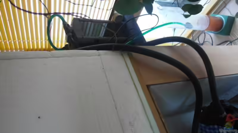 Nitratfilter im Eheim  von Hedylein (8)