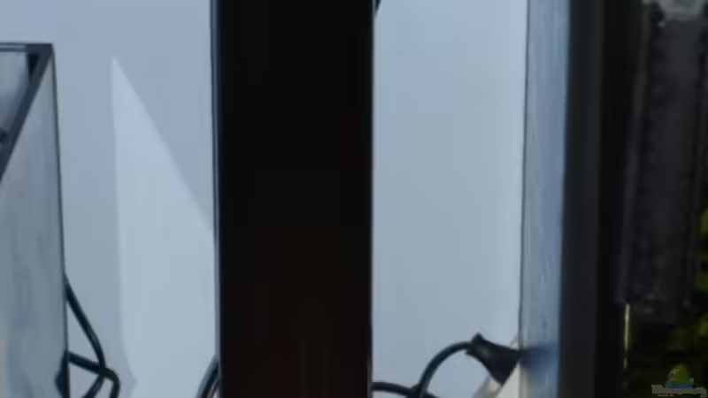 Nitratfilter von Anja Wittig (8)