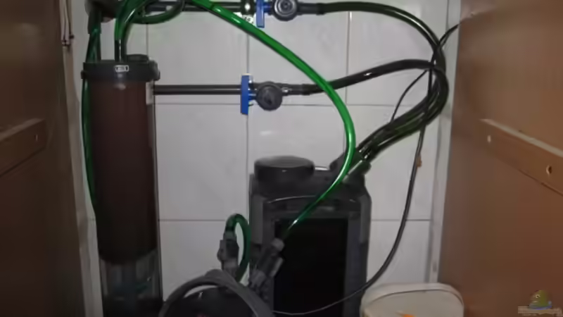 Nitratharz im Aquarium: Wirkung, Anwendung und langfristige Strategien für stabiles Wasser