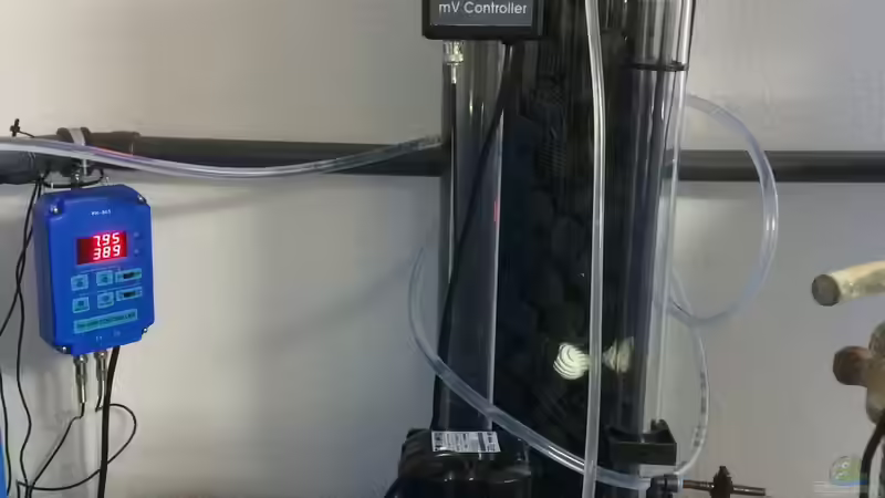 Nitratreductor von Garbas Darius (11)