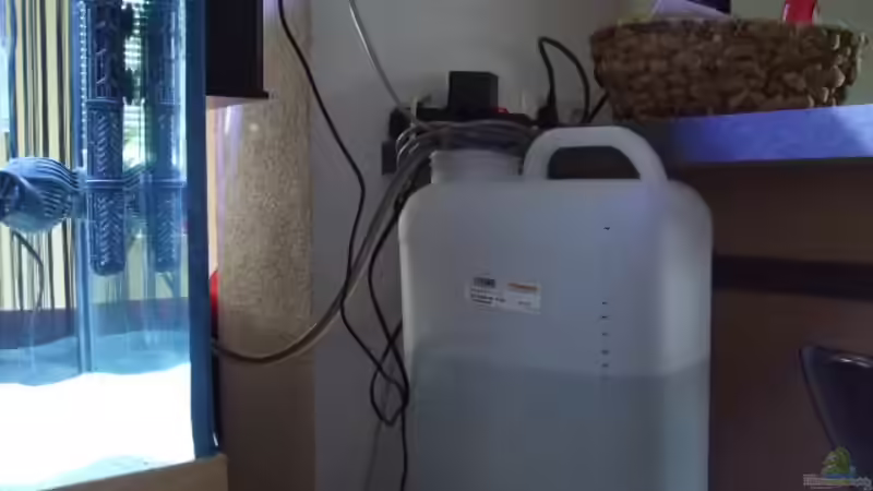 Niveauregulierung (Tauchpumpe in 19l Osmosewasser von Salzeritis (22)