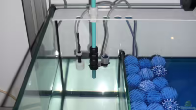 Niveauregulierung von OldFriend (10)