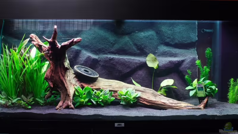 Njoa, geht schonmal für den Anfang von vixen (1)