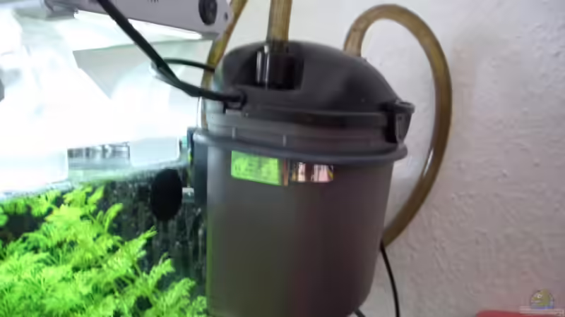 No Name Filter 250L/std von Knorpelfisch (9)