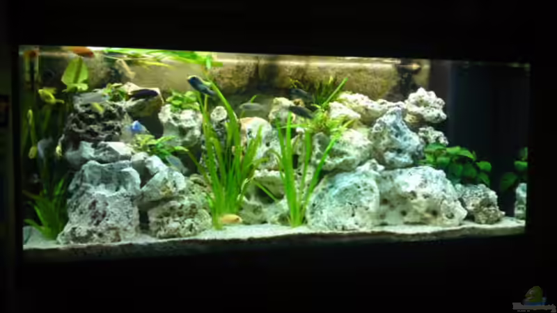 Noch älteres Bild von Strohhut. (6)