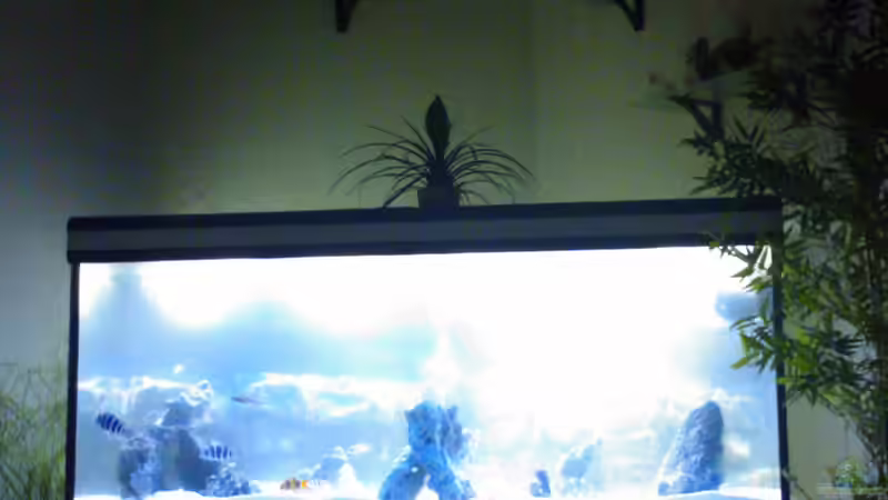 noch am einlaufen  von eisbrecher (6)