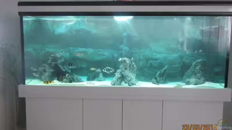 noch am einlaufen nach einer woche  von eisbrecher (7)