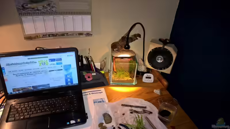 noch beim Einrichten von Martin L. (3)