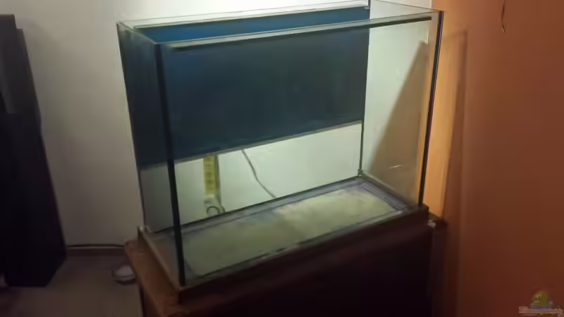 noch die alte Rückwand am Becken von Thomas Riemenschneider (16)