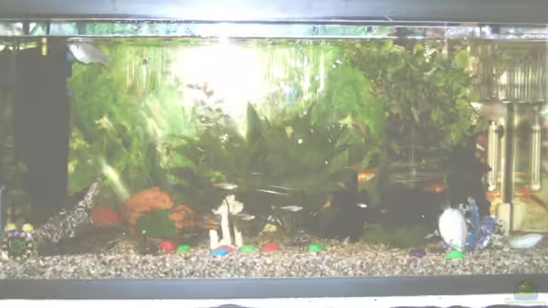 NOCH EIN BILD VOM BECKEN :o) von Enrico Bergmann (3)