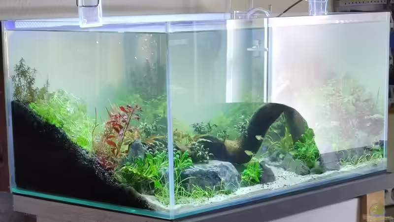 noch ein bisschen trübe von Dany (2)