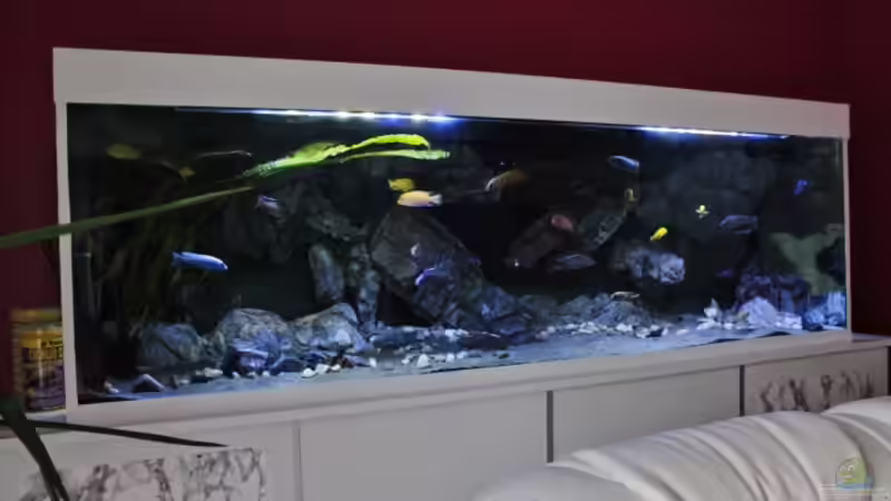 noch ein paar kleinsteine dekoriert.. von Frank Hopp (40)