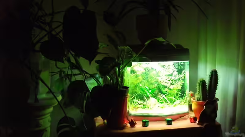 noch eine Ecke in der Wohnung gefunden :) von Mario74 (2)