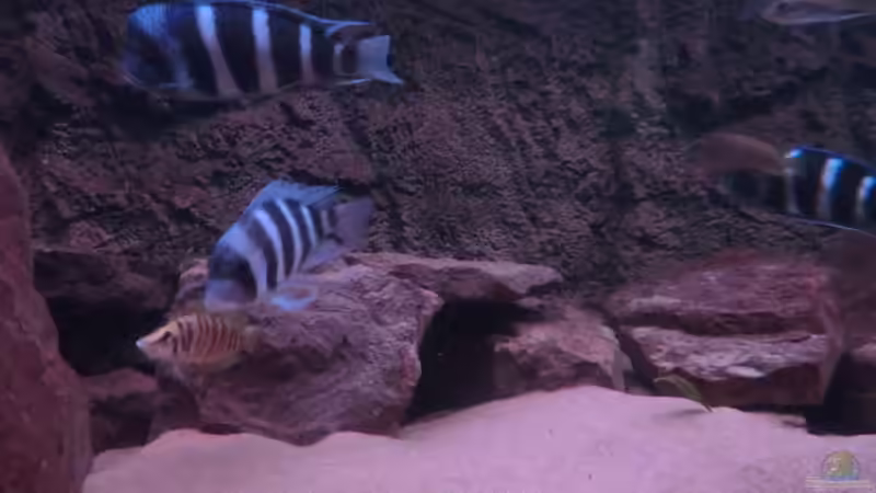 noch eine Höhle :D von Jannik Sommer (8)