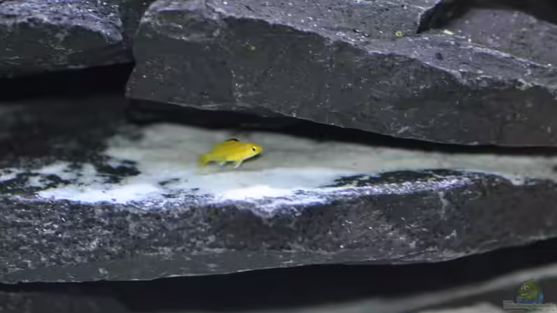 noch einer mittig 12.11.2013 von DominikZ (38)