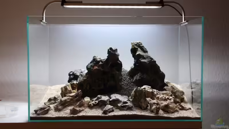 Noch einige Ministeine als winzigste Details werden platziert. von Arami Gurami (18)