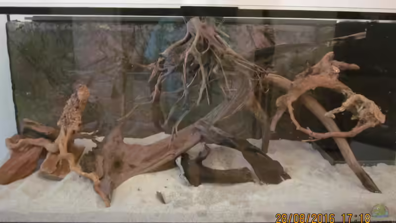 Noch einmal etwas anders, jetzt wirds ein Geduldspiel . . . von Ottche (12)