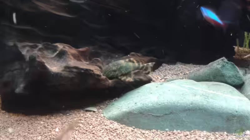 Noch einmal L 169 von Kai Heermann (27)