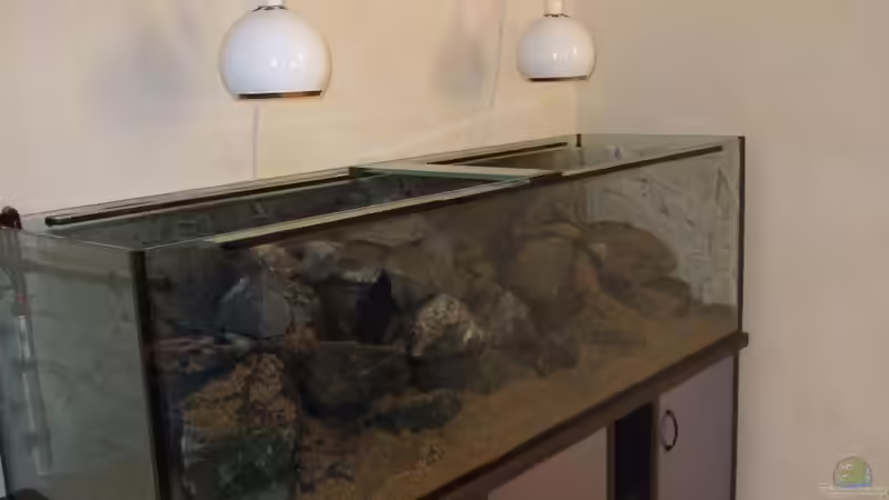 Noch einmal Steine und Kies von Crenii (19)