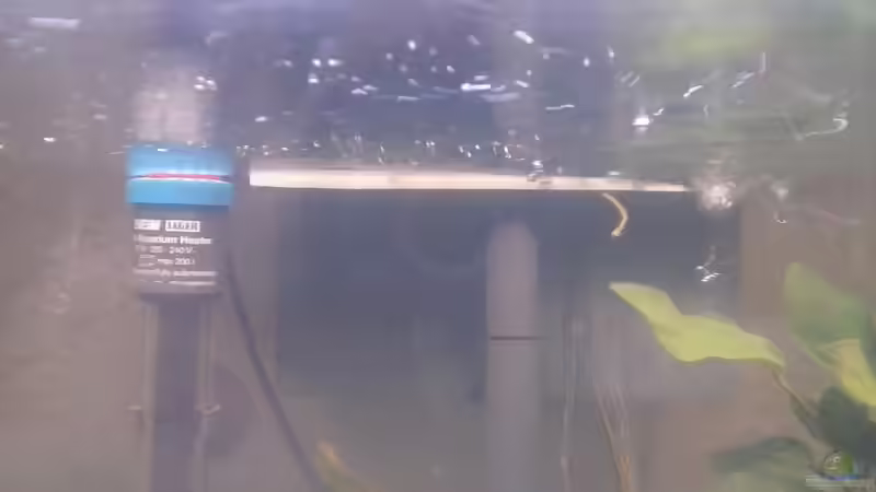 noch eins, zur Verdeutlichung von Schnaeuf (14)