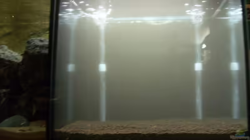 Noch etwas trüb... von Julien Preuß (5)