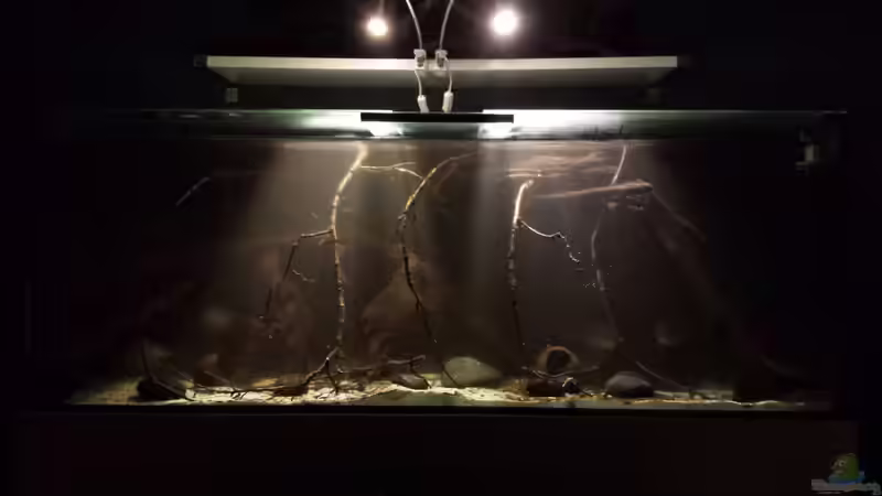 noch etwas trüb... von NRW (3)