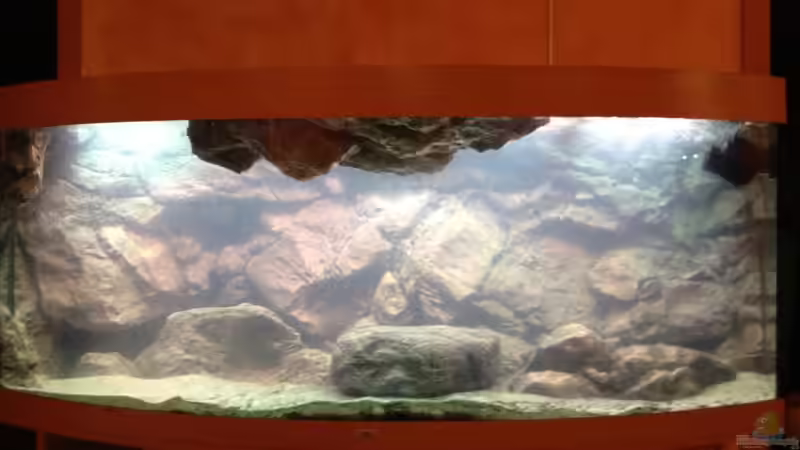 Noch etwas trüb aber das gibt sich. von Tobias Sch. (7)