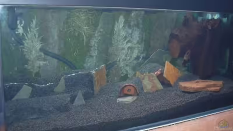 noch immer am Testen von Sado-Uwe (25)