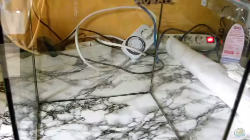 noch ist alles leer, nur die Halterungen f.d. Abdeckung sind schon eingeklebt von did244 (2)