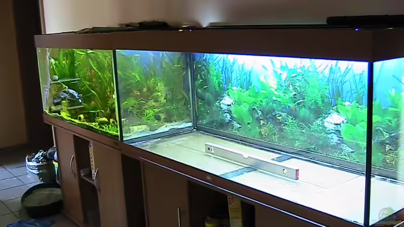 Noch ists leer von ManiacT (2)