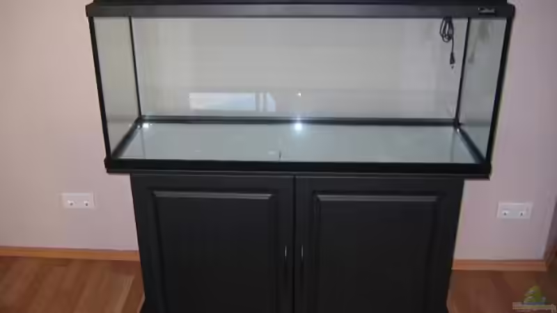 noch Leeeeeer! von Alihsan Boeklers (7)