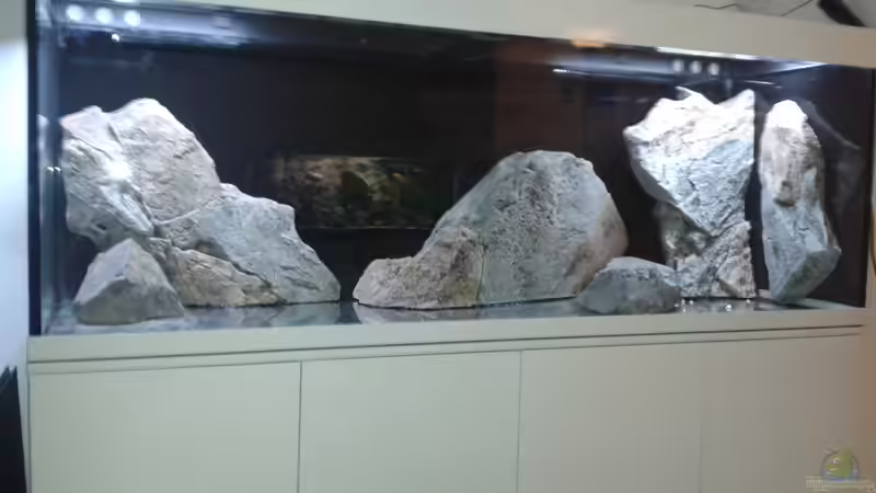 noch leer von freezer2510 (10)