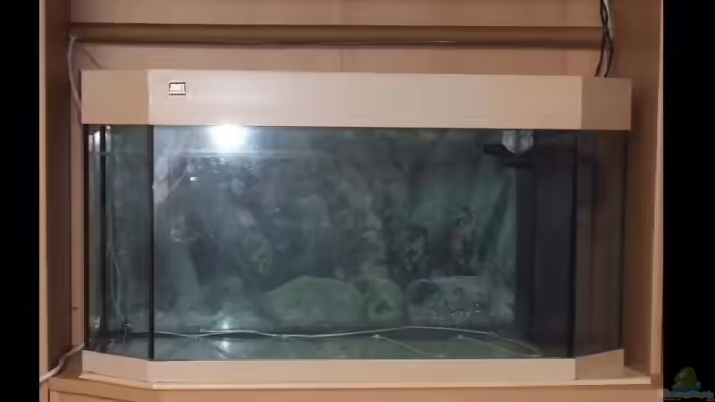 noch leer von Melanie Burkhard (2)