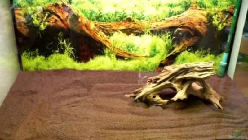 noch leer von Samsa (2)